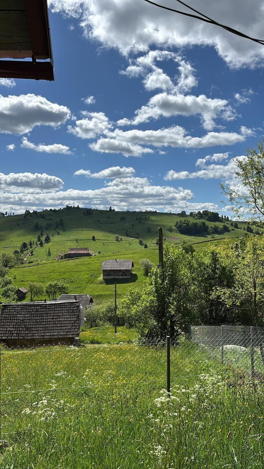 Day, Natural landscape