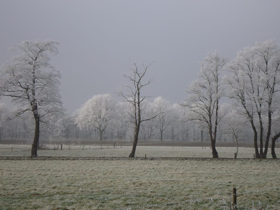 Natural landscape