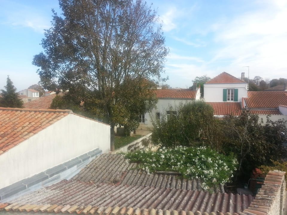 Property building, Garden view