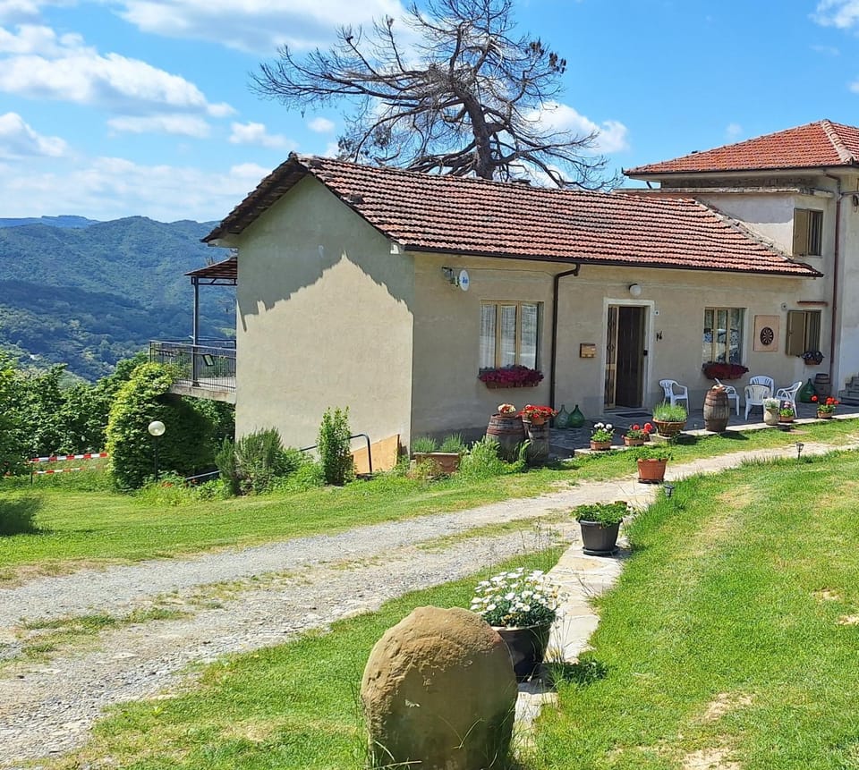 Property building, Spring, Mountain view