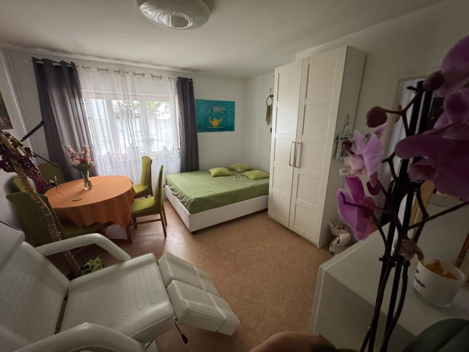 Double Room - Green Augsburg Center - Elenas Special Space Apartment in Augsburg