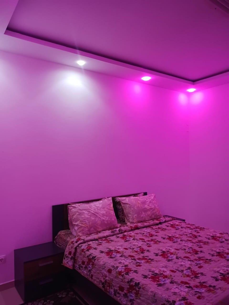 Manel location Apartment in Oran