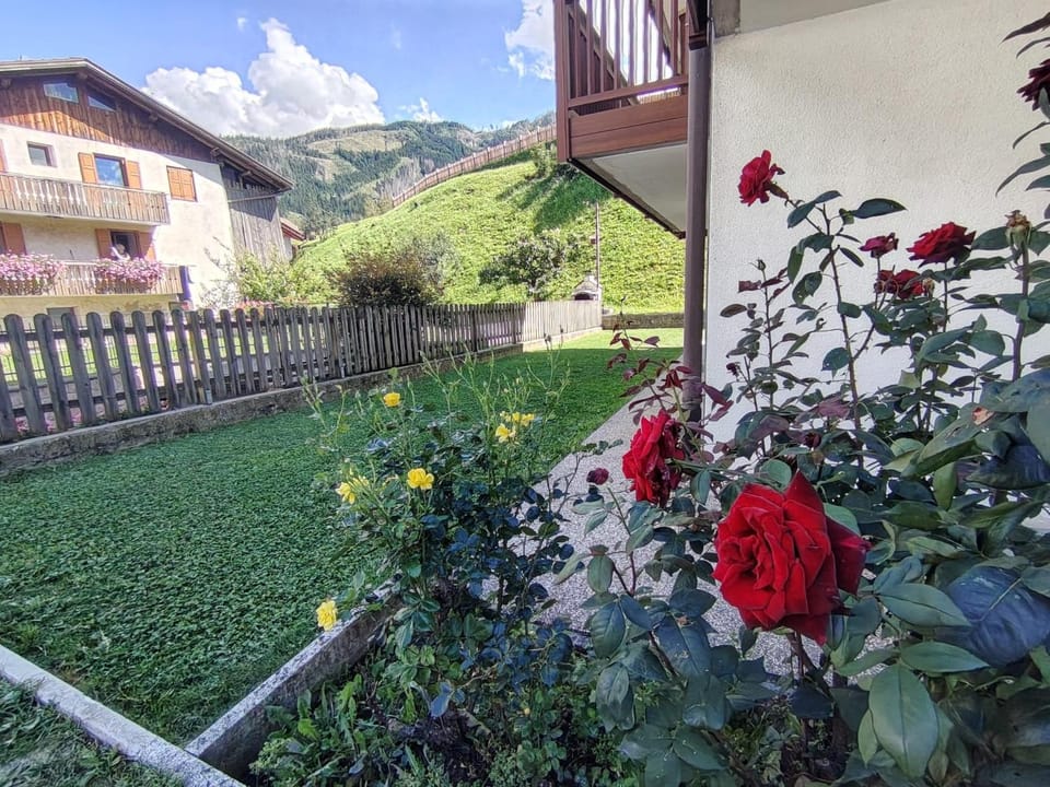 Spring, Day, Natural landscape, Garden, Garden view