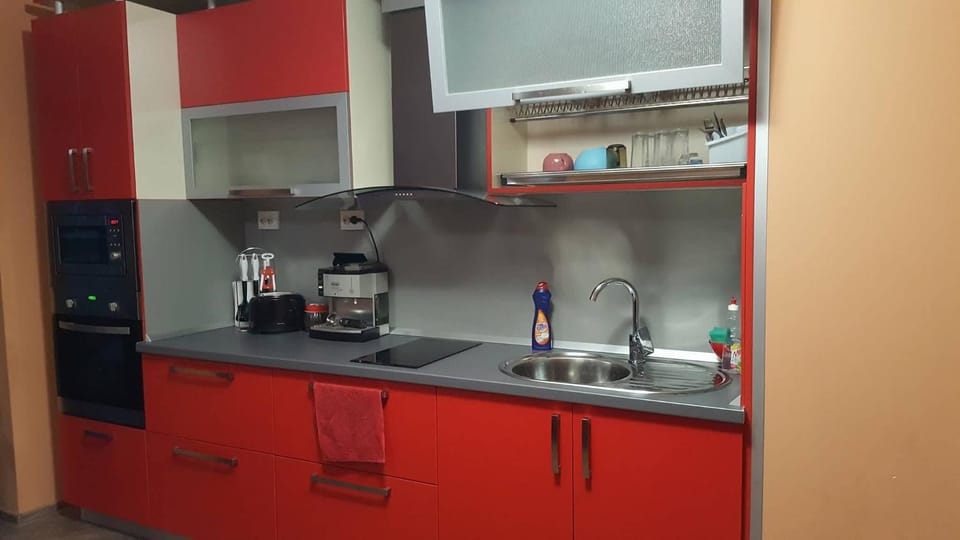 Апартамент - Камелия Apartment in Pleven