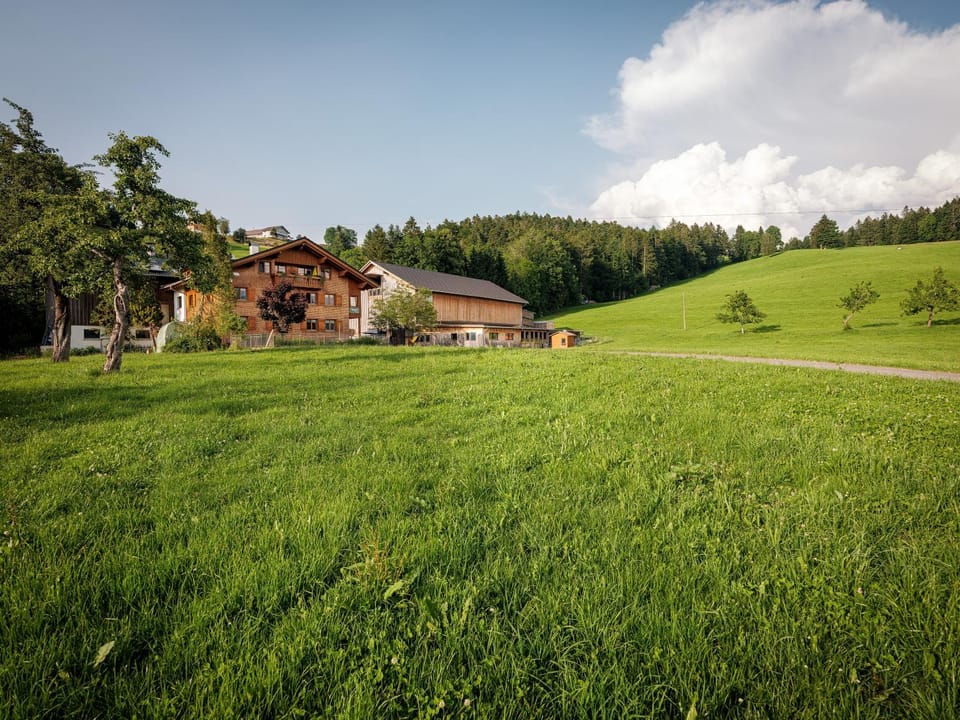 Natural landscape
