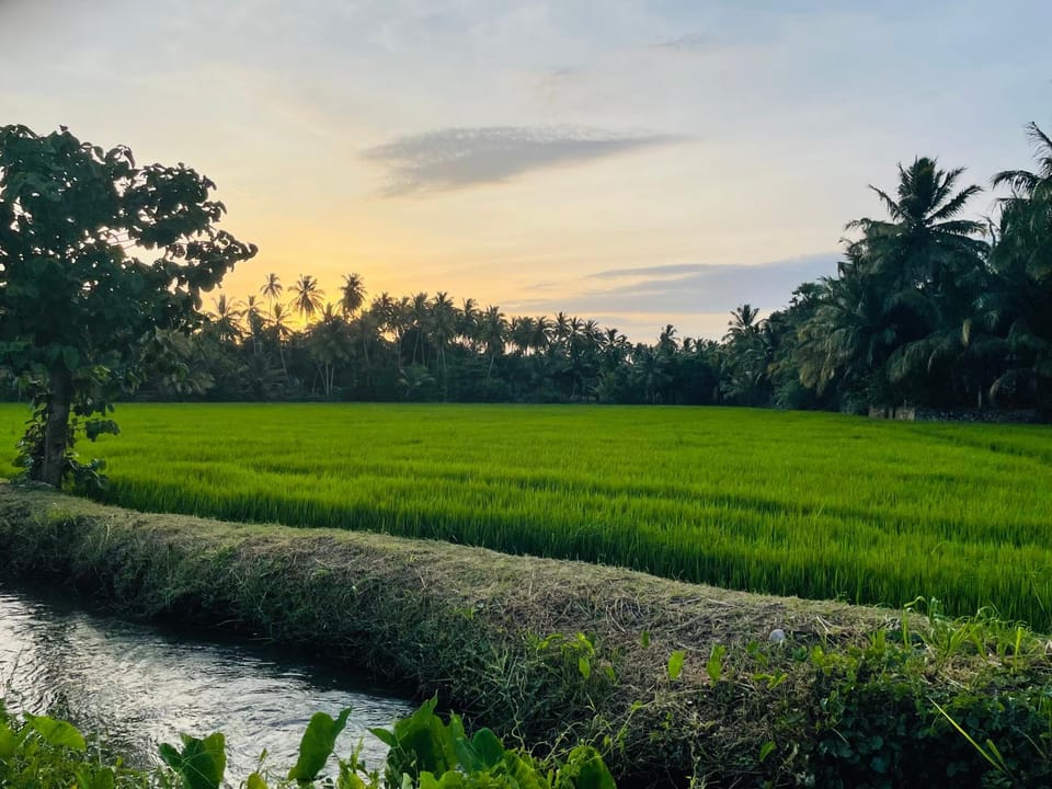 Natural landscape