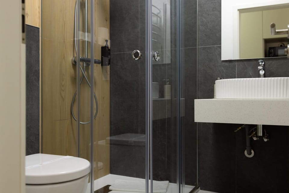 Roka ApartHotel Centrul Istoric Parcare Privata Apartment in Romania