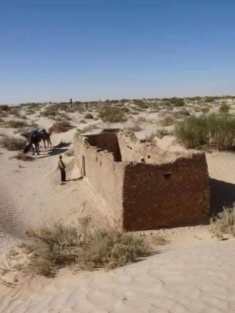 Sabria trek Luxury tent in Tunisia