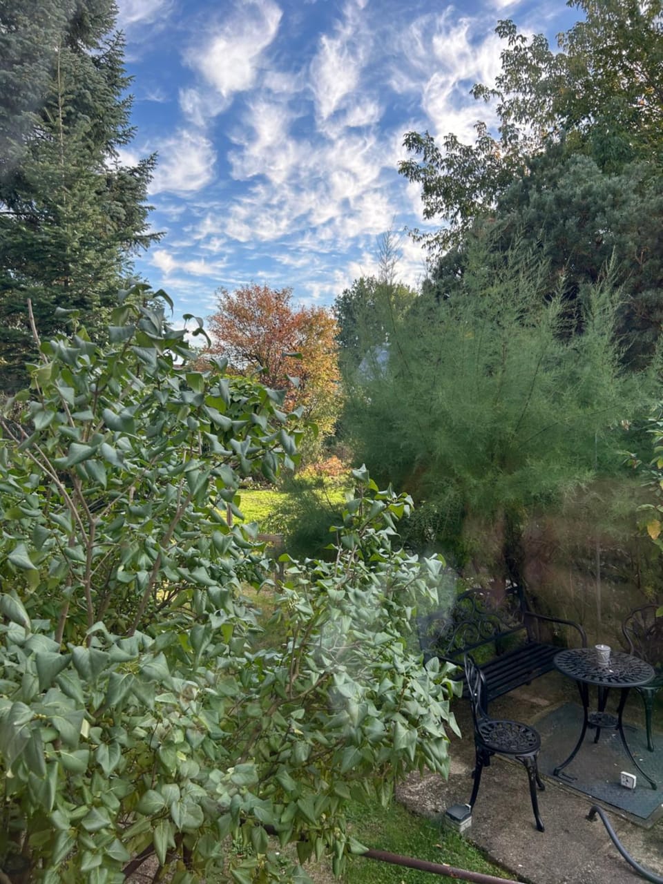 Garden view