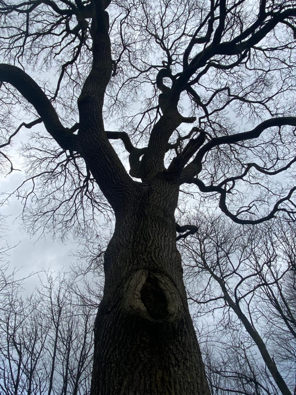 Natural landscape