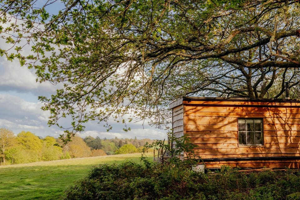 Property building, Natural landscape
