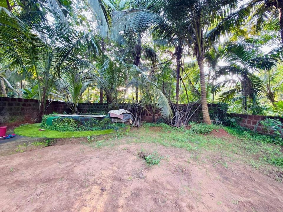 Natural landscape
