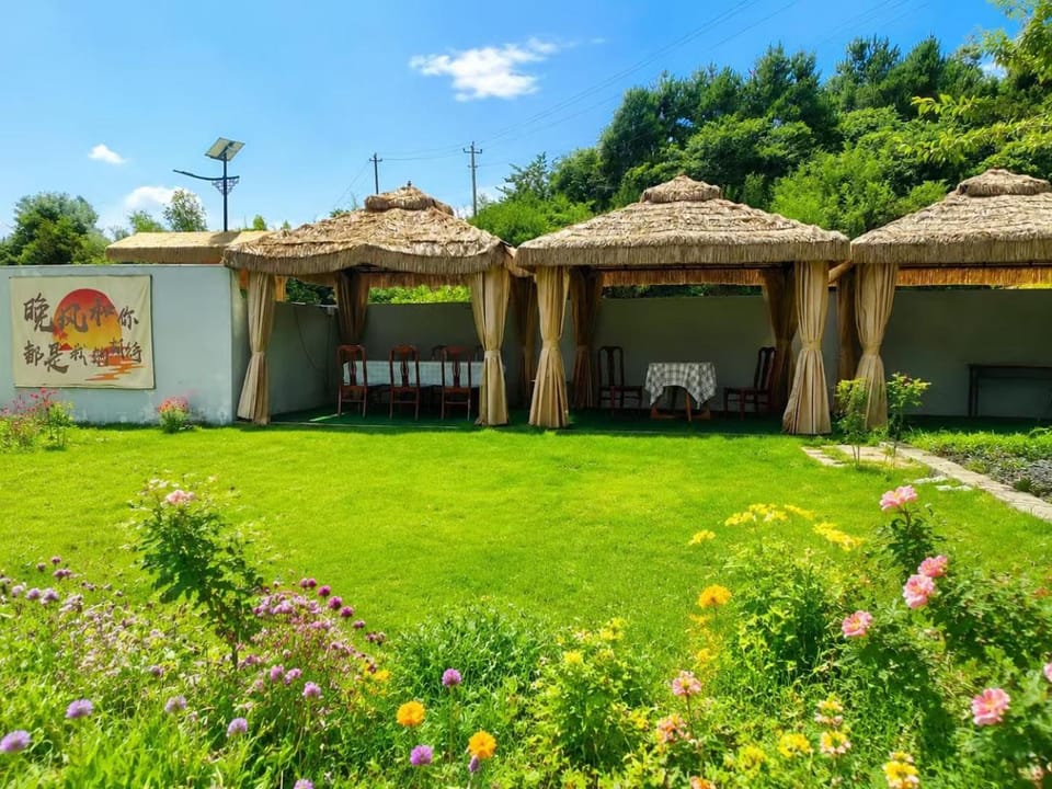 Day, Garden, Garden view