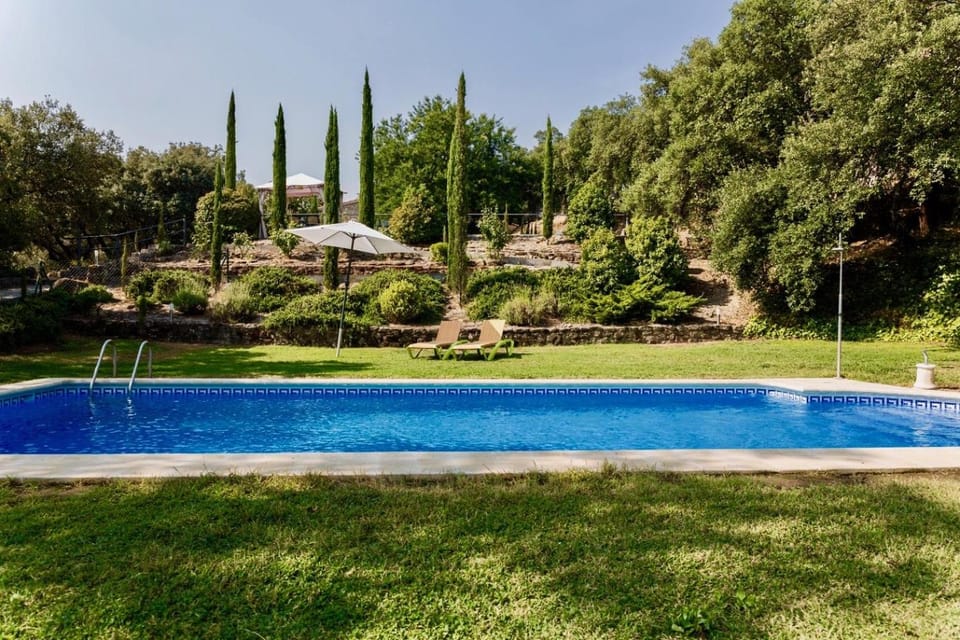Swimming pool, Swimming pool