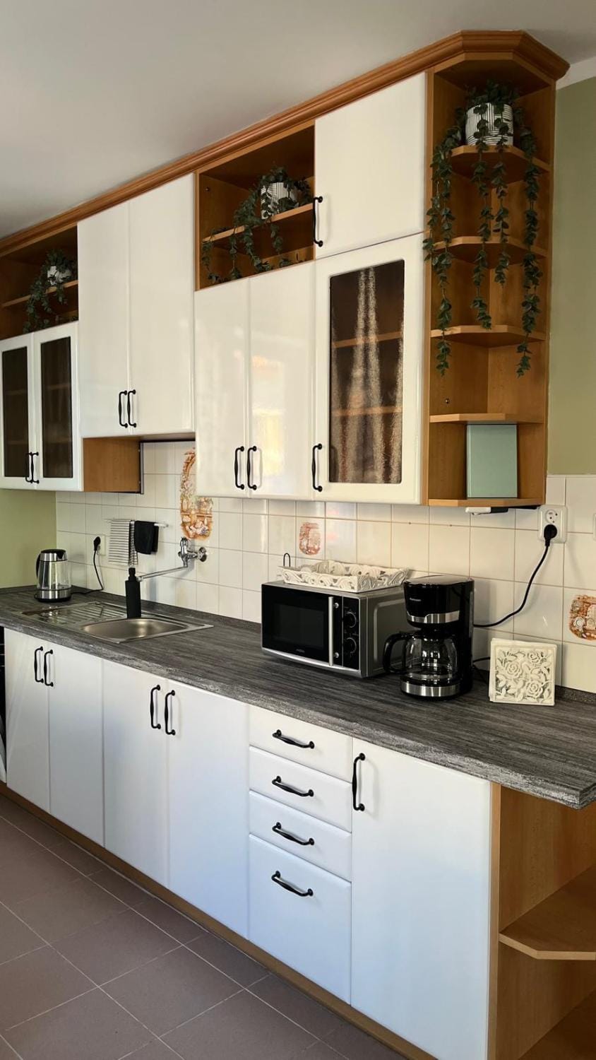 Kitchen or kitchenette, dishwasher, stove