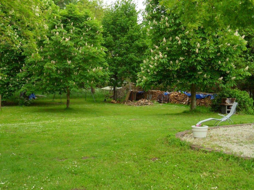 Garden, Garden view