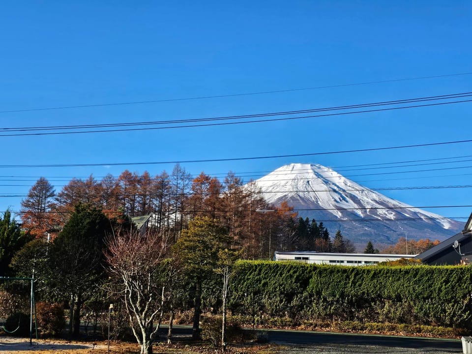 Natural landscape