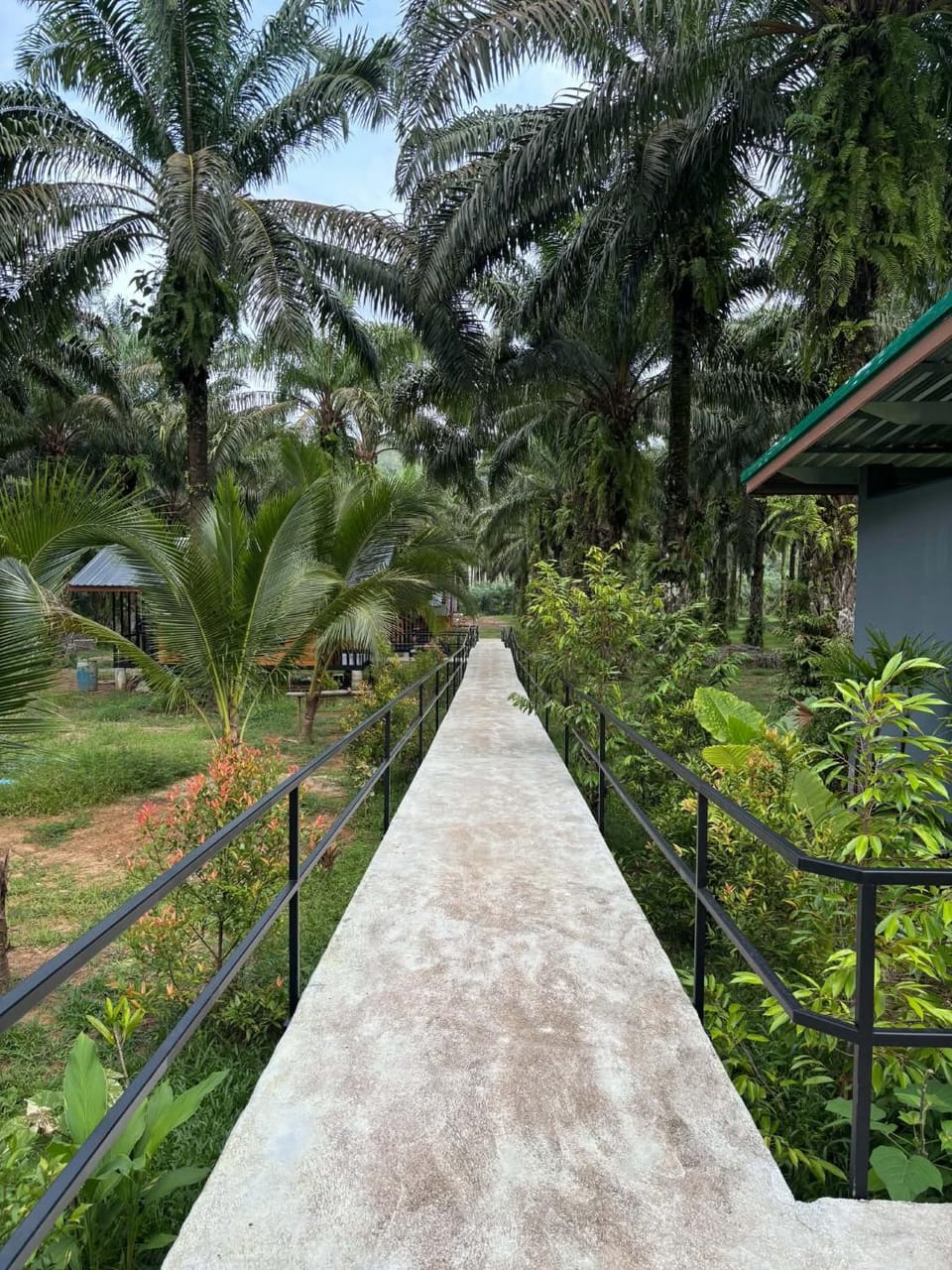 KhaoSok Mountain Palms Lodge Vacation rental in Khlong Sok