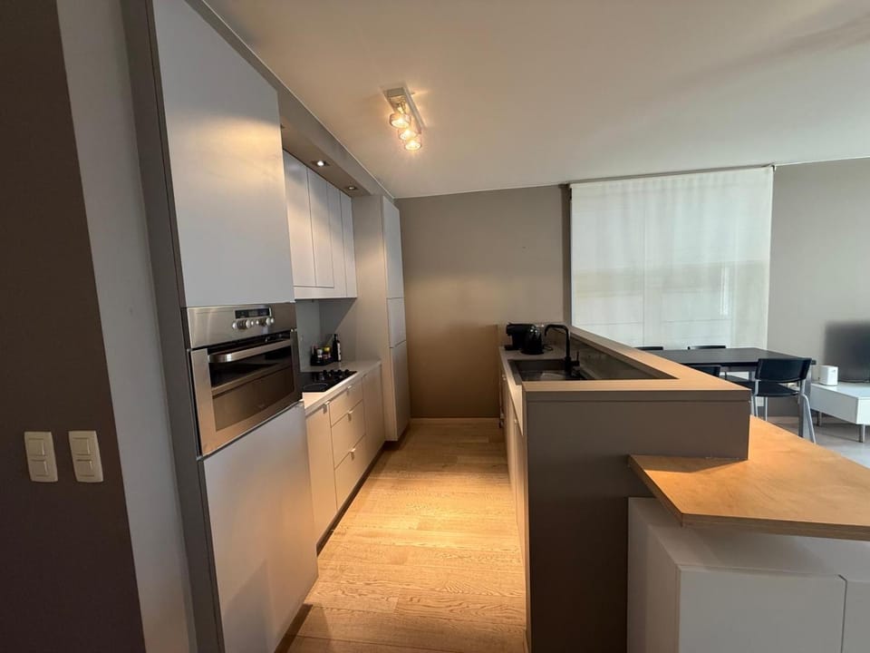 Central Brussels Premium Apartment Apartment in Brussels