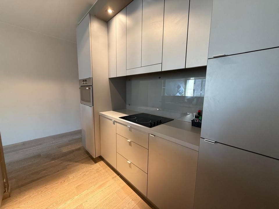Central Brussels Premium Apartment Apartment in Brussels