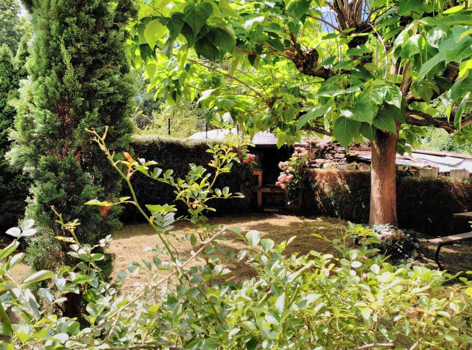 BBQ facilities, Garden