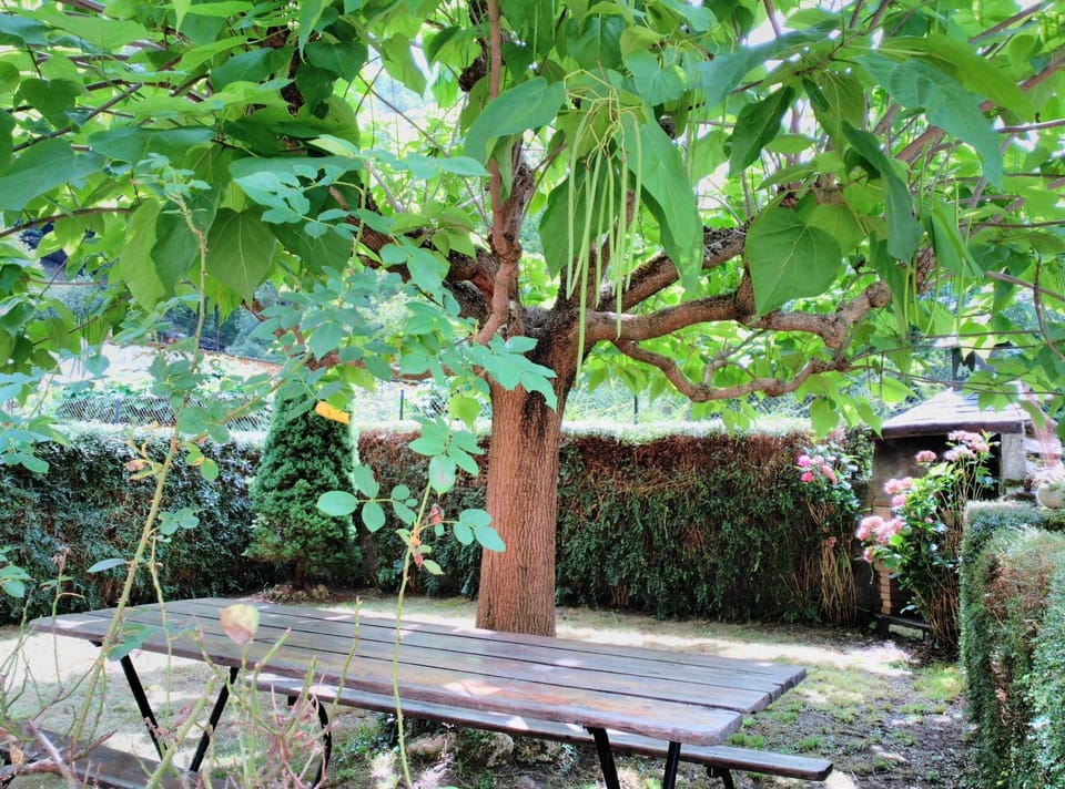 BBQ facilities, Garden