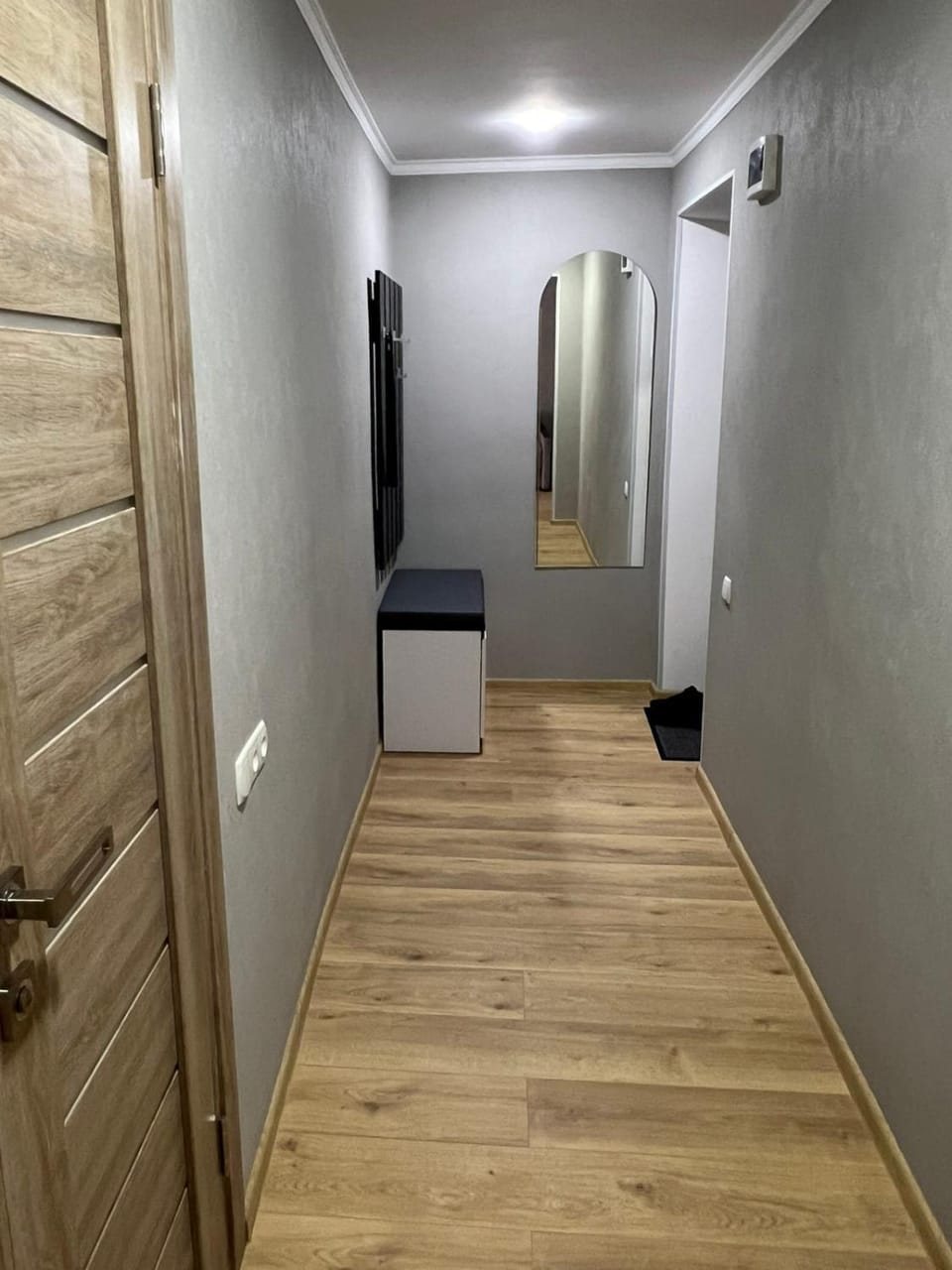 Сучасні апартаменти в центрі міста Apartment in Ukraine