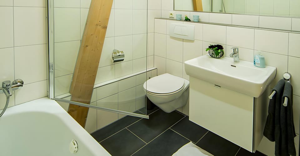 Bathroom, Living room