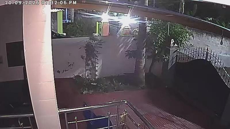 Night, Garden