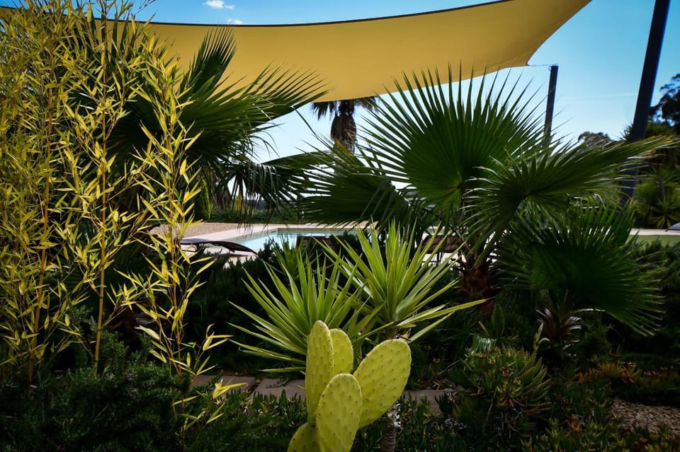 Folco Studio Apartment Apartment in Sicily