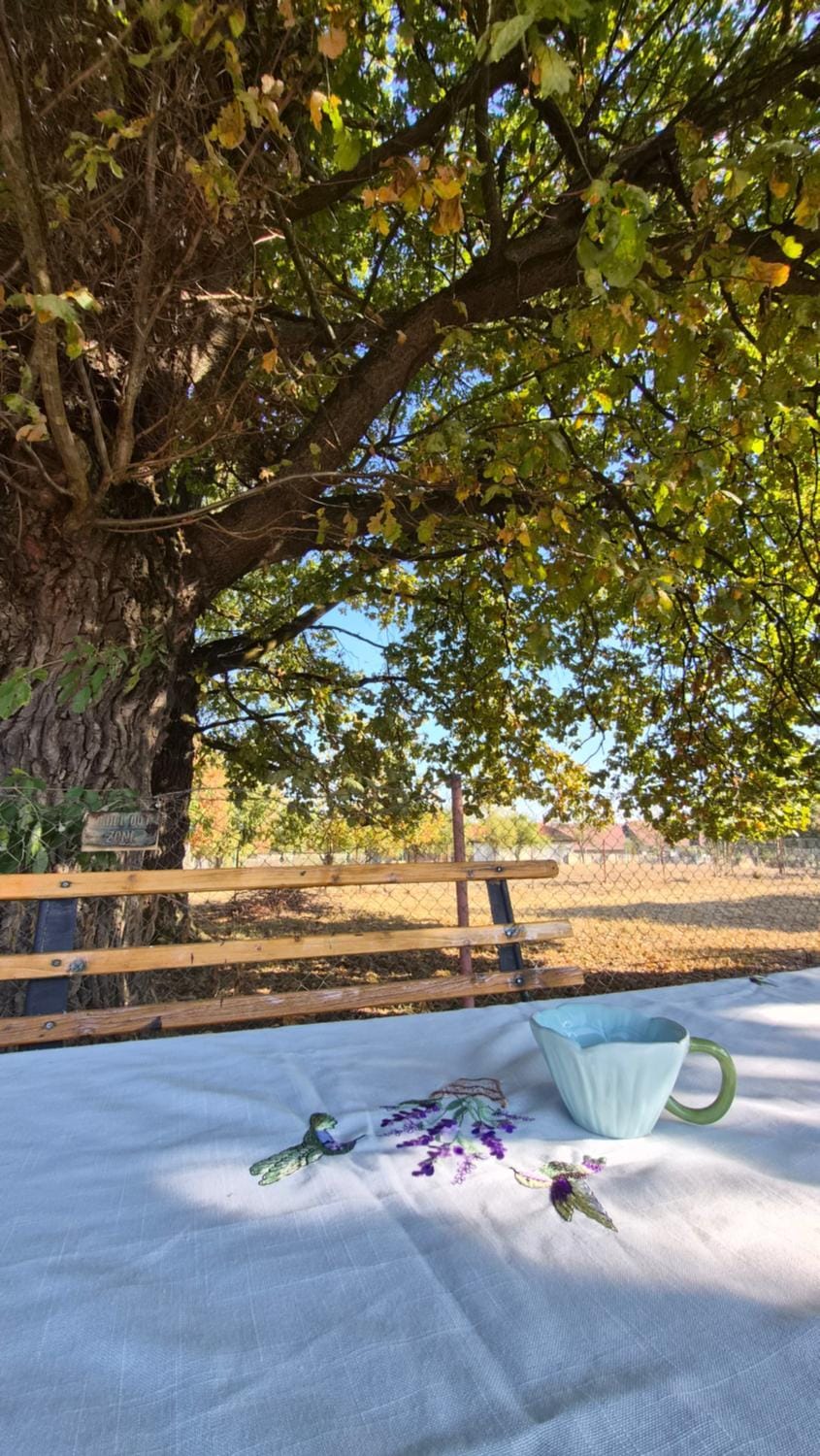 Day, Natural landscape, Garden, Garden view