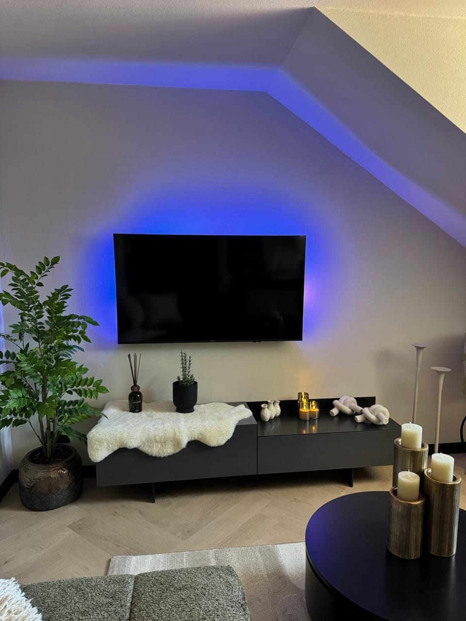 TV and multimedia