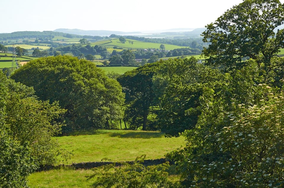 Natural landscape