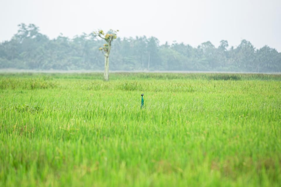 Day, Natural landscape