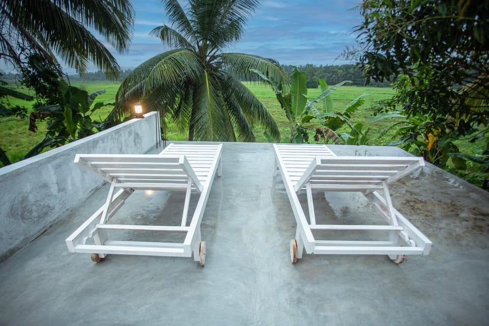 Natural landscape, Garden, Garden view, sunbed