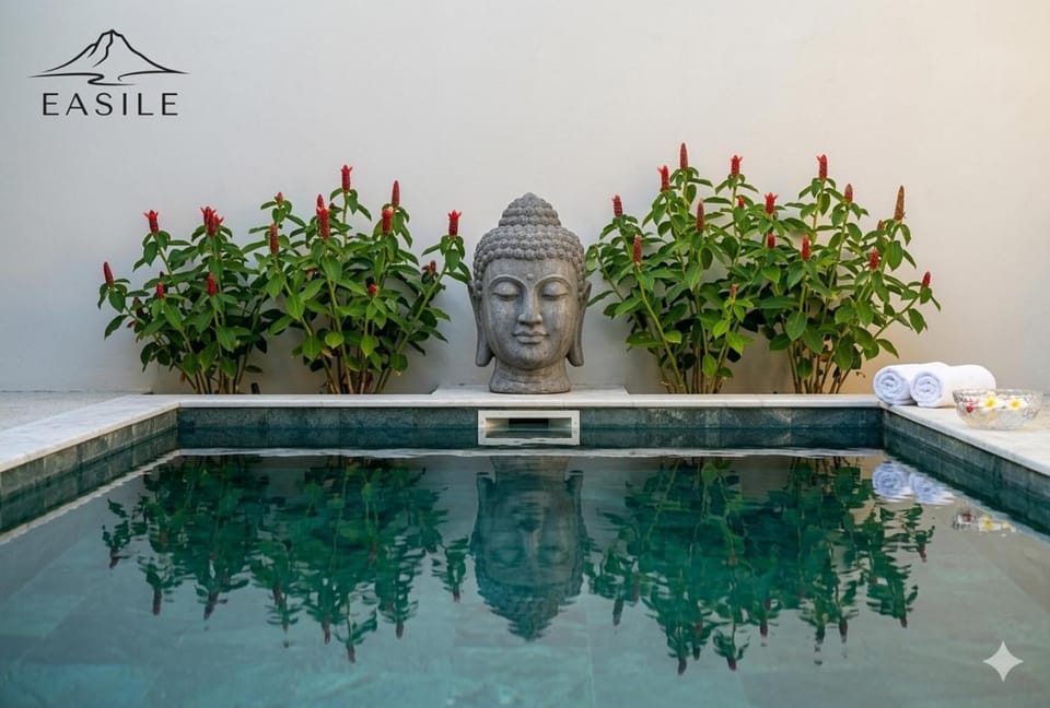Pool view, Swimming pool