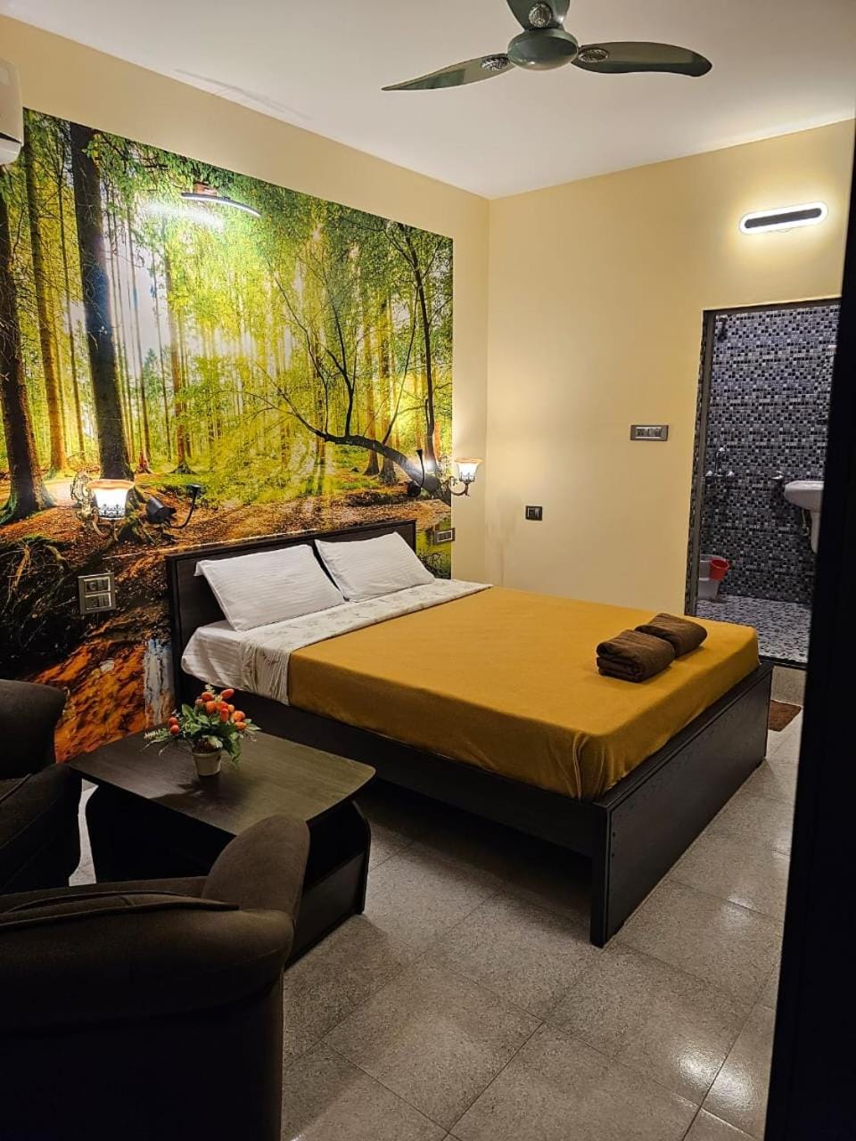 Photo of the whole room