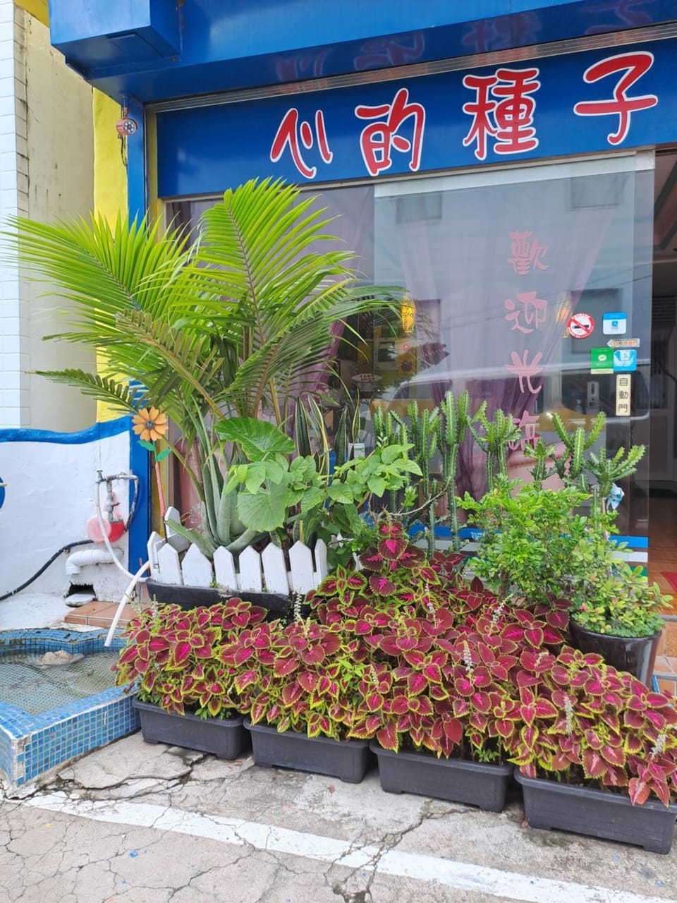 Heart Seed B&B Vacation rental in Hengchun Township