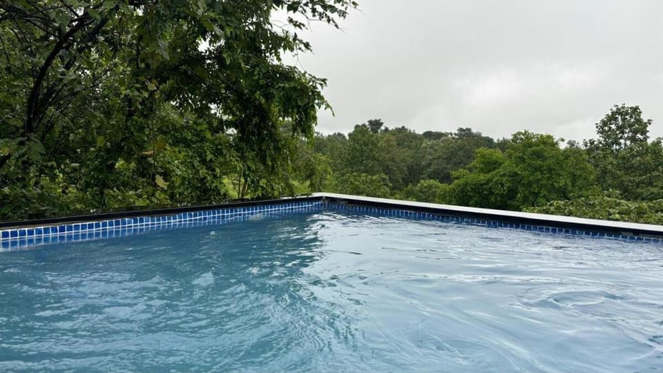 Swimming pool, Swimming pool