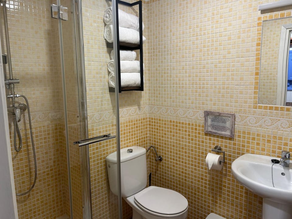 Shower, Toilet, Bathroom, towels