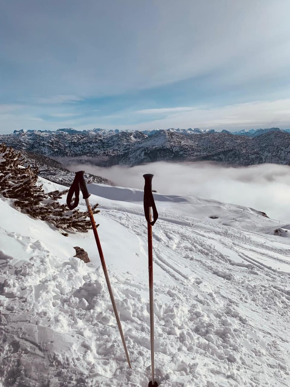 Winter, Ski School, Skiing, Entertainment