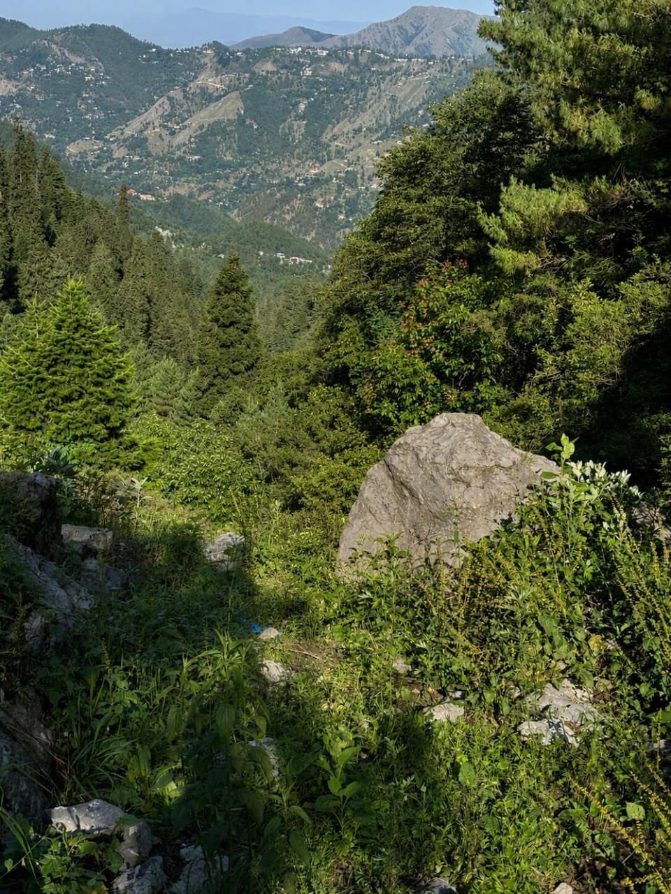 Nearby landmark, Mountain view
