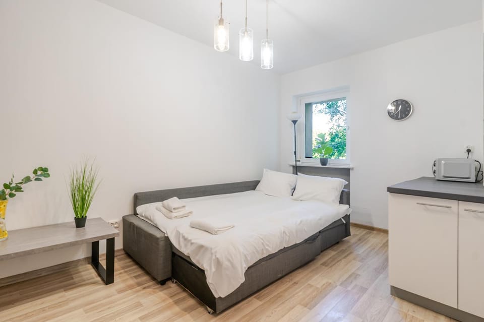 Bed, Kitchen or kitchenette, Photo of the whole room