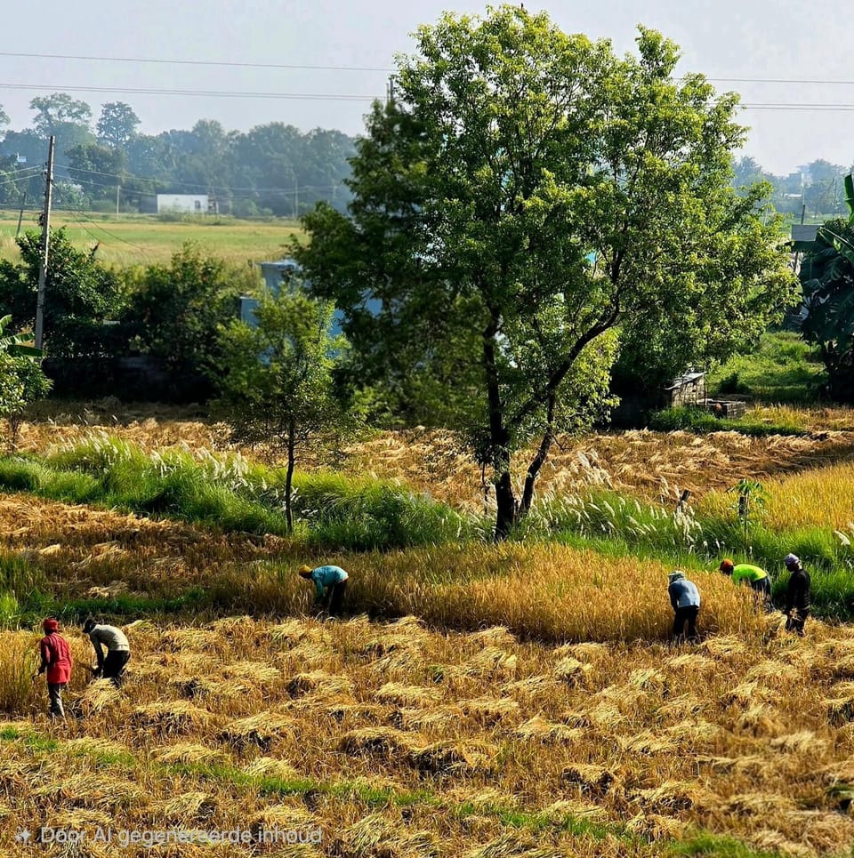 Neighbourhood, Natural landscape, Area and facilities