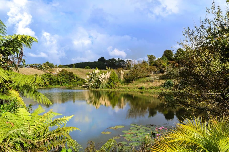 Lake view