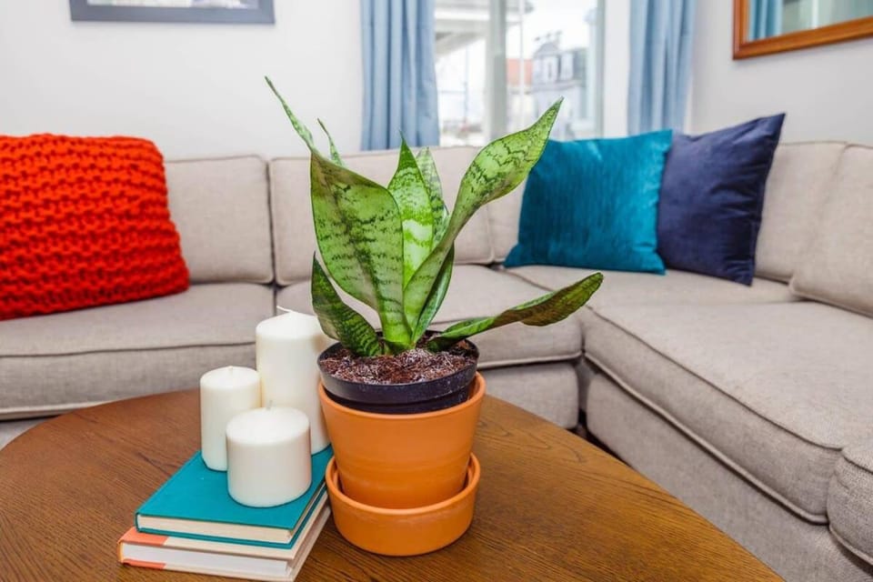 Charming 3BR Savin Hill Home Near the T House in Boston