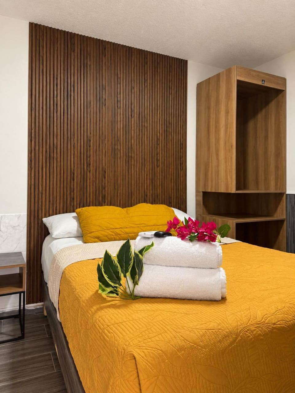 Ventura Suite Campo Teapa Vacation rental in Villahermosa