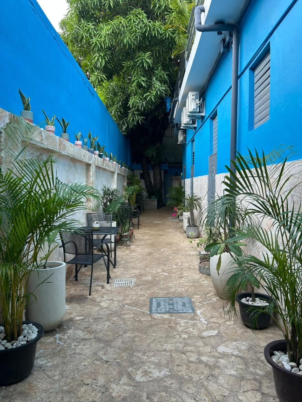 Casa Azul Colonial Apartment in Distrito Nacional