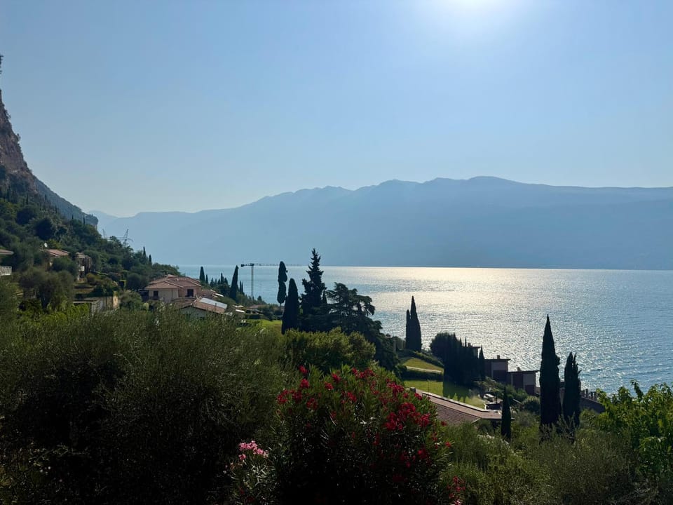Lake view, Lake view