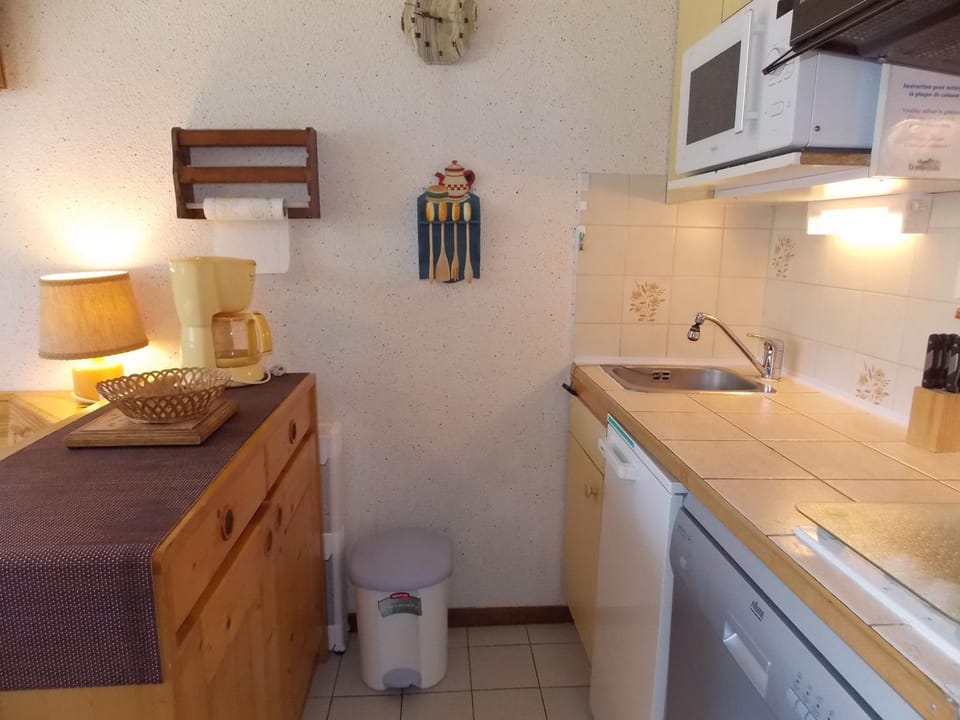 Studio accueillant, animaux admis - 4 pers. Apartment in Pralognan-la-Vanoise